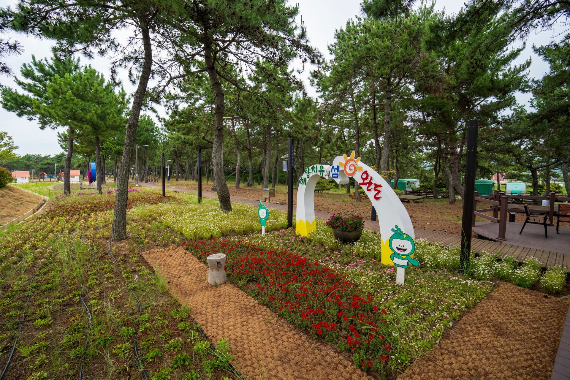 완도군 완도해양치유센터 관광지 풍경