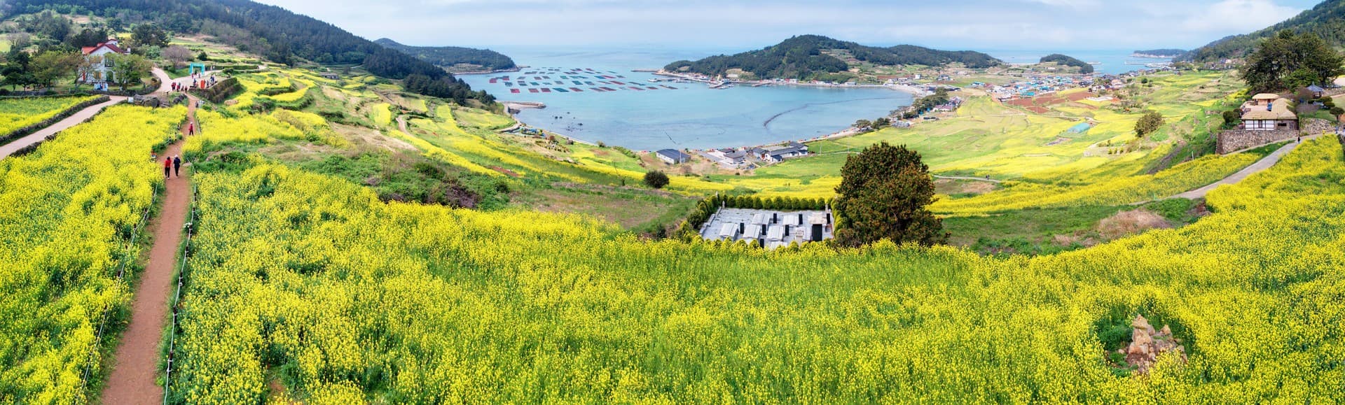 완도군 청산도 관광지 풍경