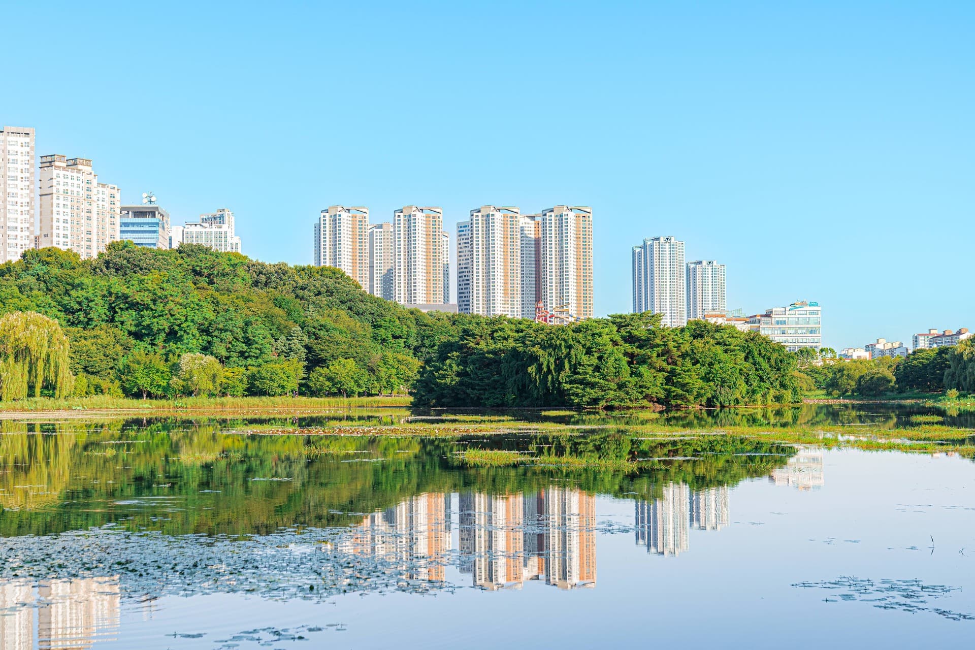 일산호수공원 산책길 관광지 풍경