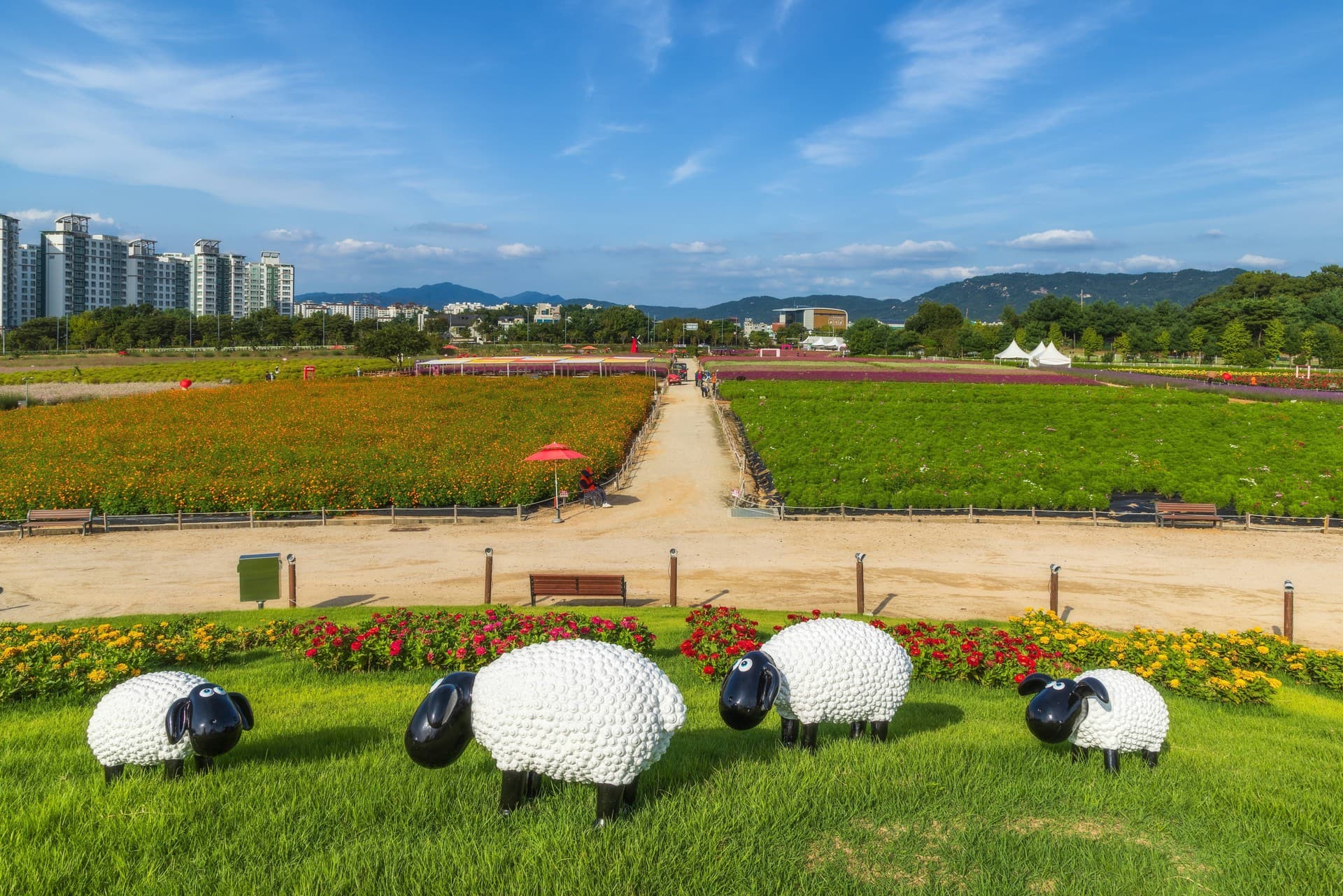 양주시 나리농원 관광지 풍경