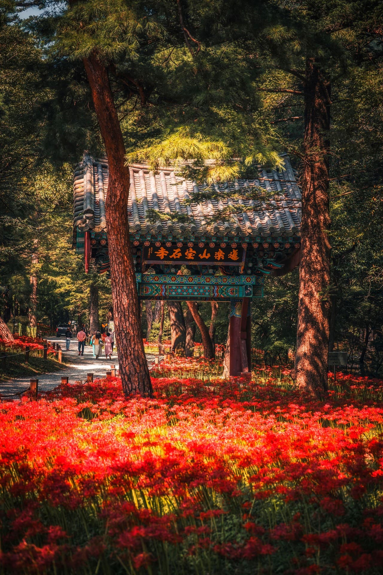 금산군 금산 보석사 관광지 풍경