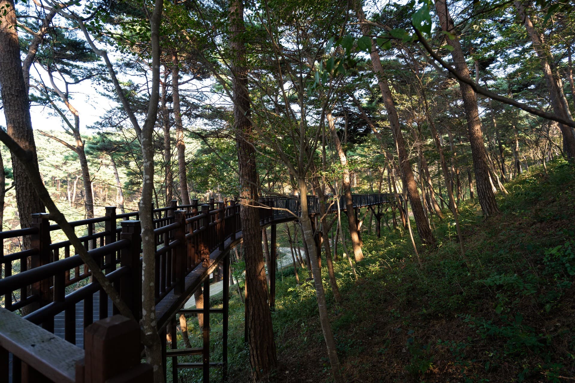 태안군 안면도자연휴양림 관광지 풍경
