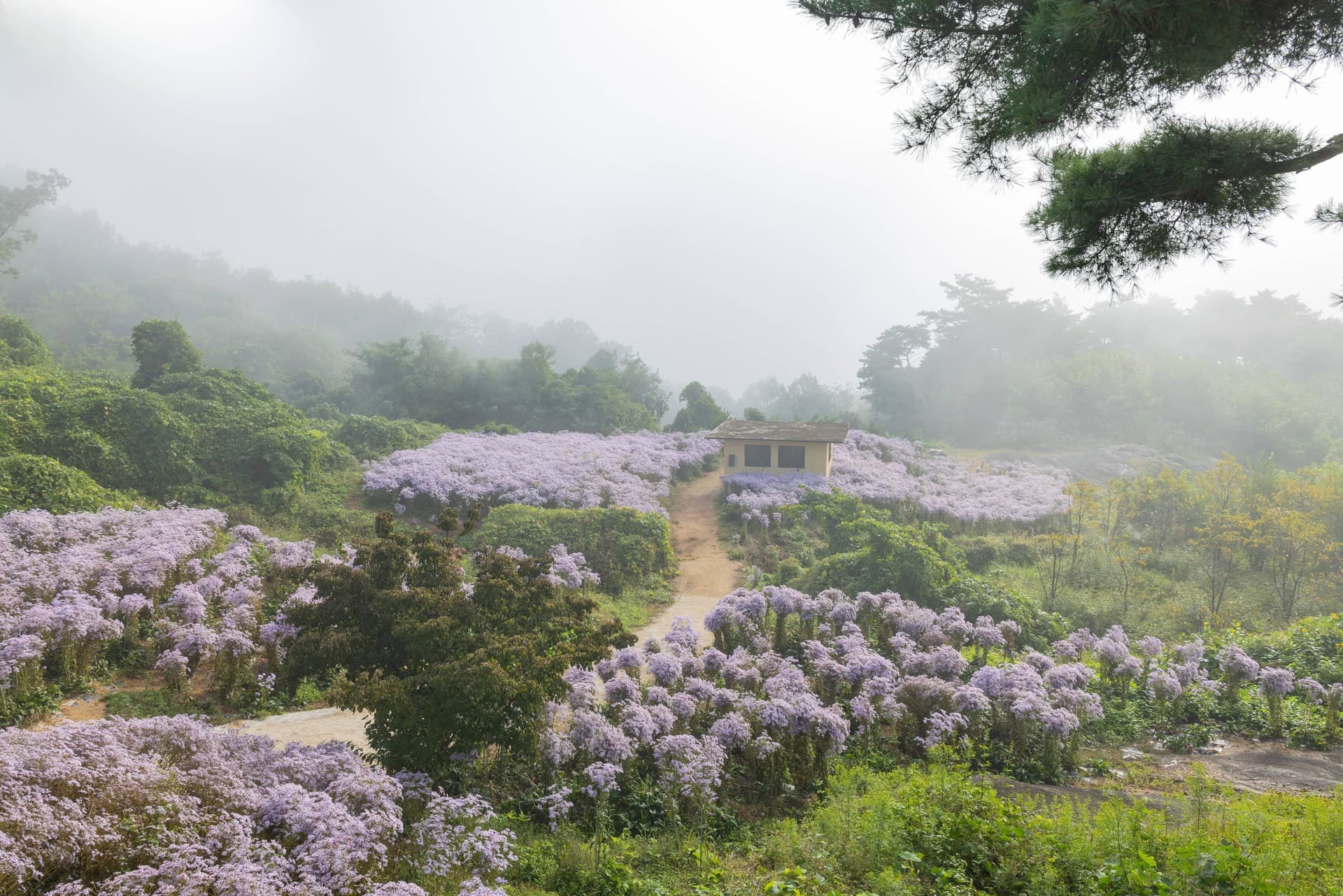 문경시 봉천사 관광지 풍경