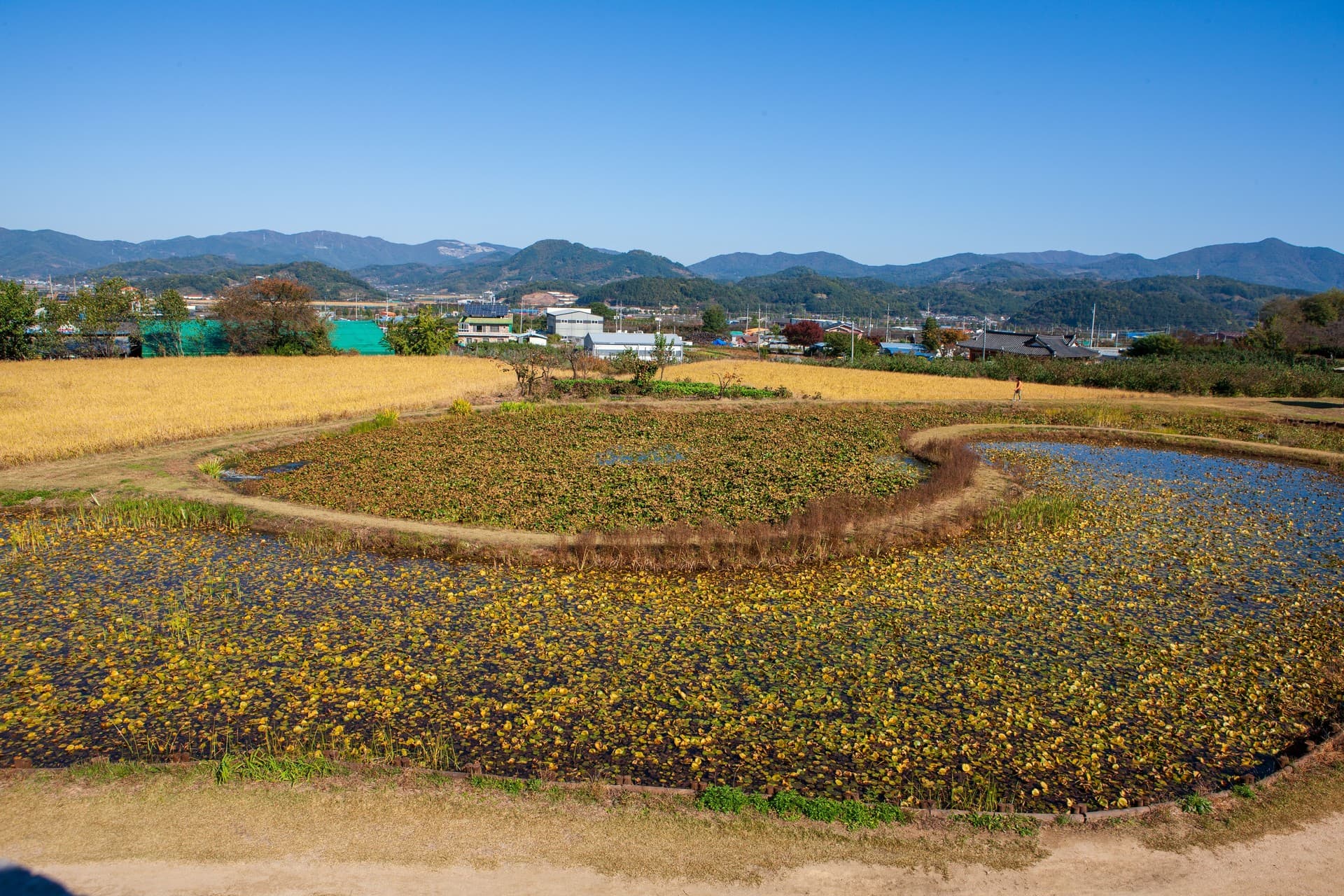 청도군 청도읍성 관광지 풍경