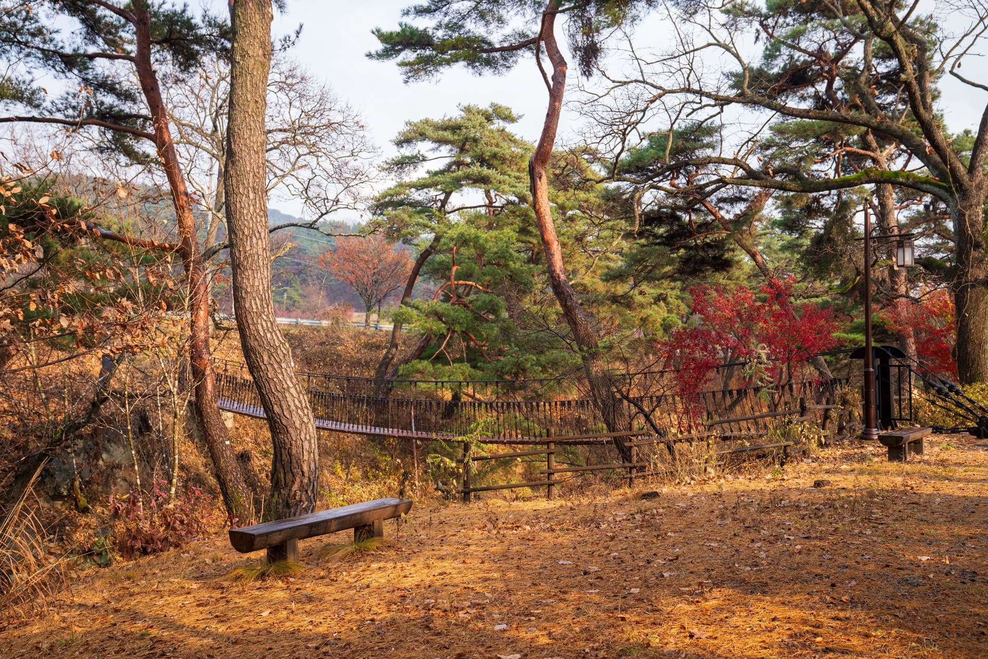예천군 초간정 관광지 풍경
