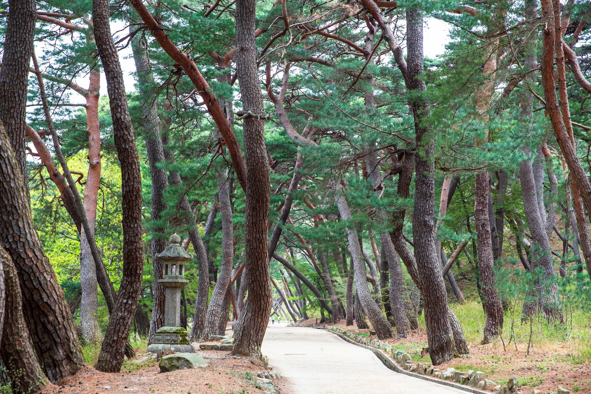 양산시 양산 통도사 관광지 풍경