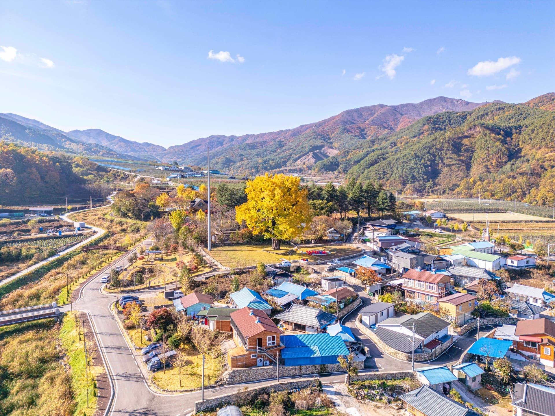 함양군 함양 운곡리 은행나무 관광지 풍경
