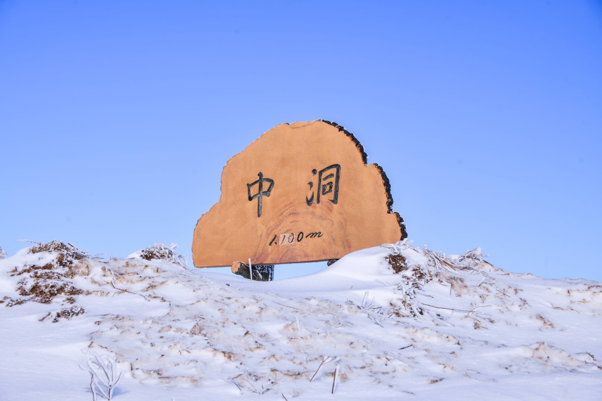 평창군 대관령 삼양라운드힐 관광지 풍경