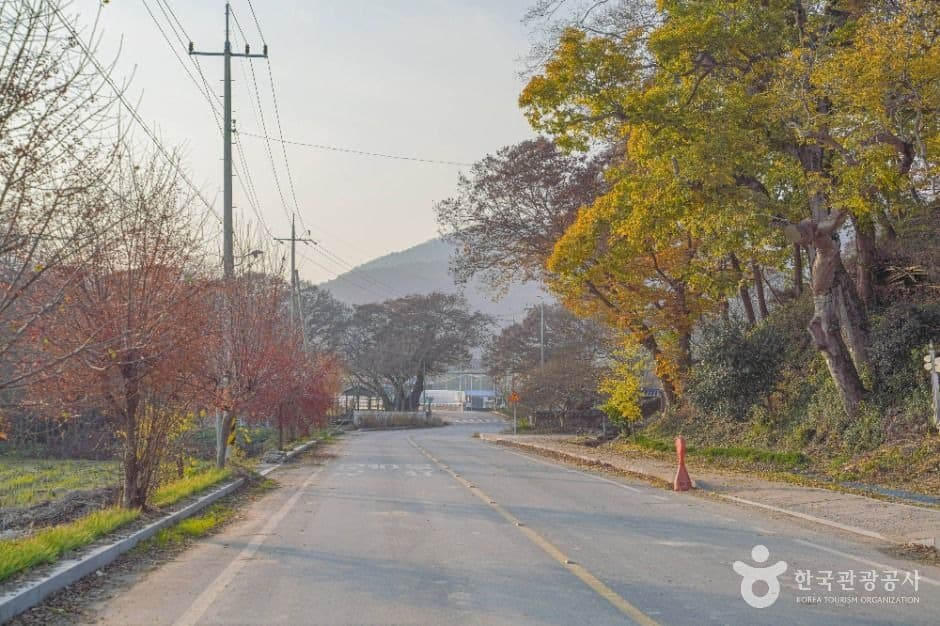 함평군 모평마을 관광지 풍경