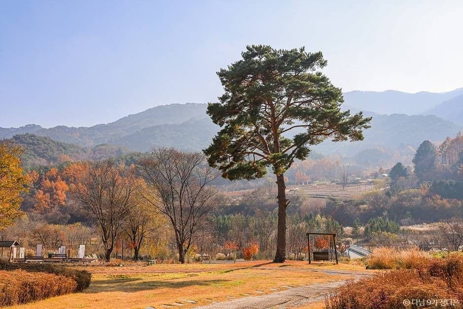 봉화군 국립백두대간수목원 관광지 풍경