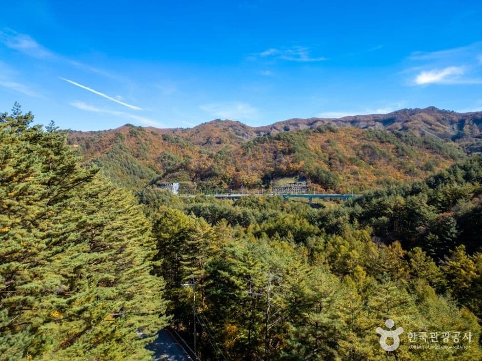 산줄기와 숲이 넓게 펼쳐진 봉화 청옥산 풍경