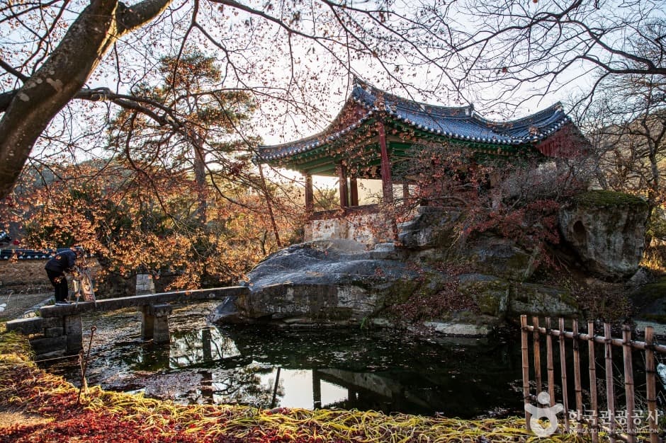 봉화군 봉화 청암정 관광지 풍경